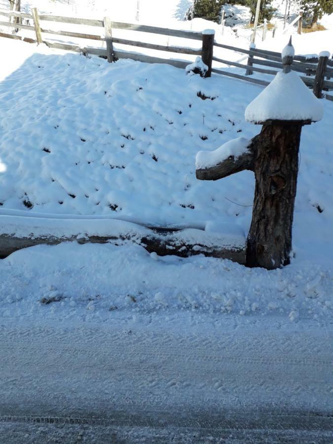 Pürstinghof Bauernhof Flachau